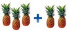 Grade 1 Math