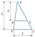 Grade 7 Math
