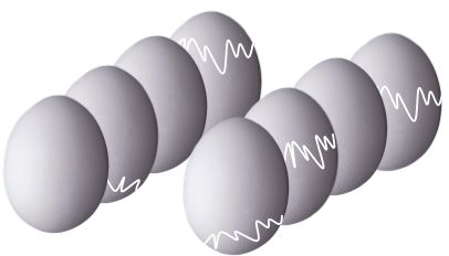   K1