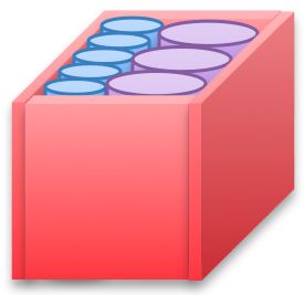   K1