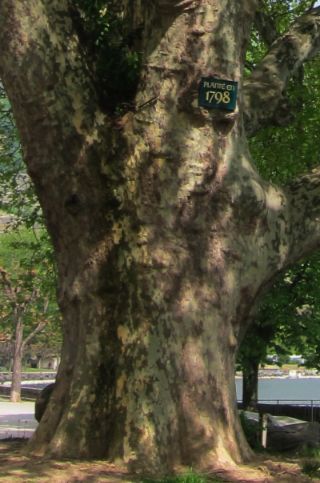   K5