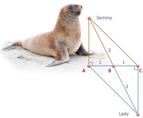 Funny Math Problems